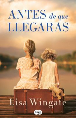 Knjiga Antes de Que Llegaras / Before We Were Yours Lisa Wingate