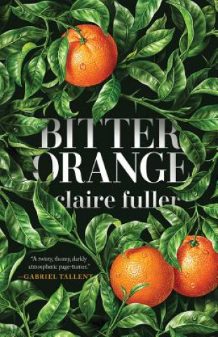 Kniha Bitter Orange Claire Fuller