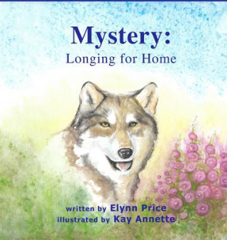 Kniha Mystery: Longing for Home Elynn Price