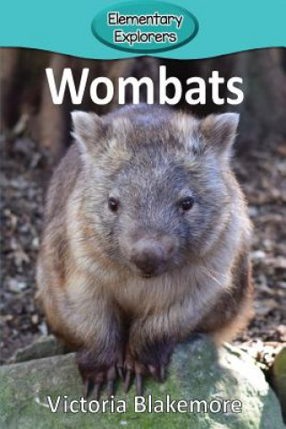 Könyv Wombats Victoria Blakemore