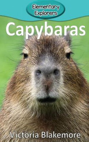 Carte Capybaras Victoria Blakemore