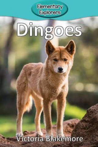 Книга Dingoes Victoria Blakemore