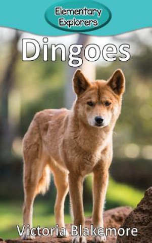 Libro Dingoes Victoria Blakemore