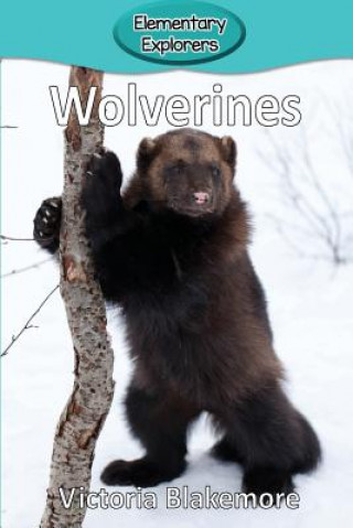 Knjiga Wolverines Victoria Blakemore