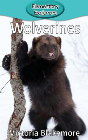 Knjiga Wolverines Victoria Blakemore