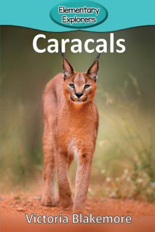 Βιβλίο Caracals Victoria Blakemore