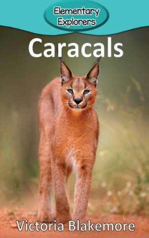 Βιβλίο Caracals Victoria Blakemore