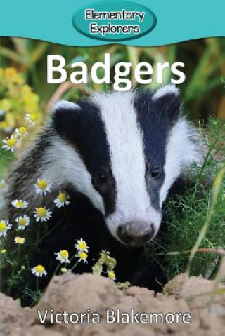 Βιβλίο Badgers Victoria Blakemore