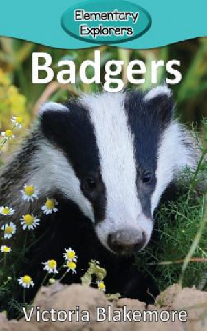 Buch Badgers Victoria Blakemore