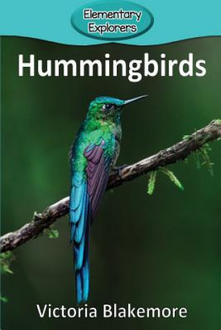 Buch Hummingbirds Victoria Blakemore