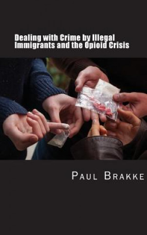 Kniha Dealing with Crime by Illegal Immigrants and the Opioid Crisis: What to Do about the Two Big Social and Criminal Justice Issues of Today Paul Brakke