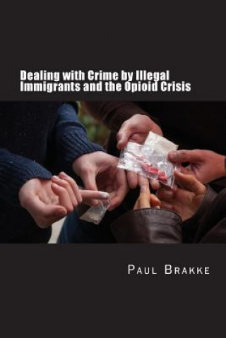 Kniha Dealing with Crime by Illegal Immigrants and the Opioid Crisis: What to Do about the Two Big Social and Criminal Justice Issues of Today Paul Brakke