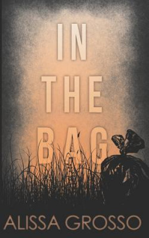 Libro In the Bag: A Novella Alissa C Grosso