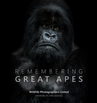 Książka Remembering Great Apes Margot Raggert