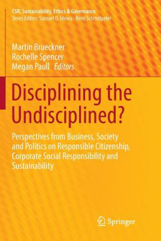 Buch Disciplining the Undisciplined? Martin Brueckner