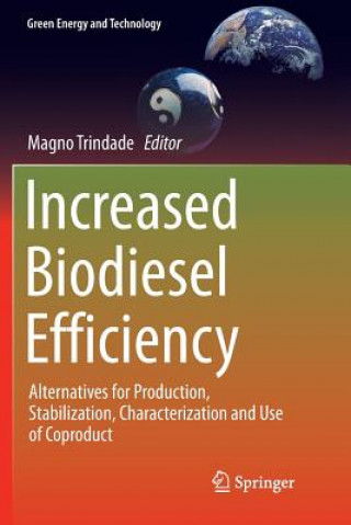 Könyv Increased Biodiesel Efficiency Magno Trindade