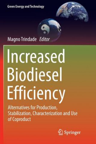 Книга Increased Biodiesel Efficiency Magno Trindade