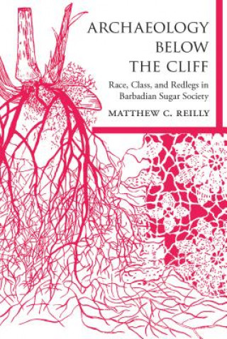 Kniha Archaeology below the Cliff Matthew C. Reilly