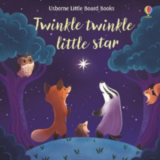 Kniha Twinkle, twinkle little star Russell Punter