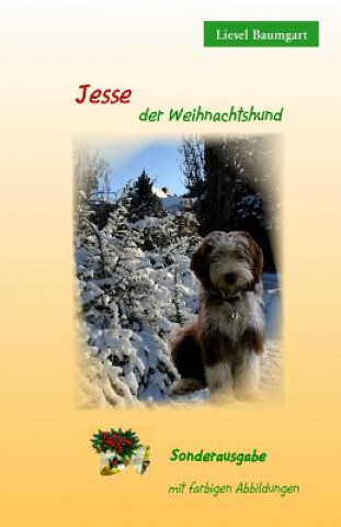 Kniha Jesse Der Weihnachtshund: Mit Farbigen Abbildungen Liesel Baumgart
