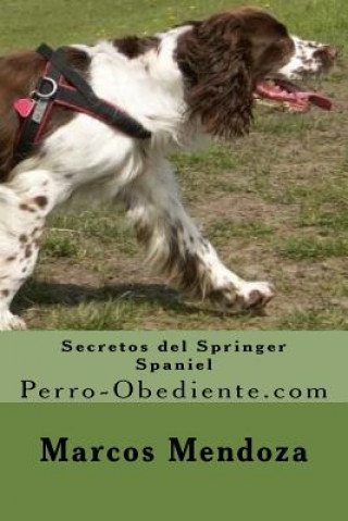 Kniha Secretos del Springer Spaniel: Perro-Obediente.com Marcos Mendoza