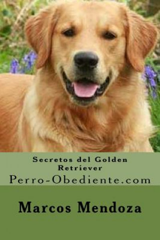 Könyv Secretos del Golden Retriever: Perro-Obediente.com Marcos Mendoza