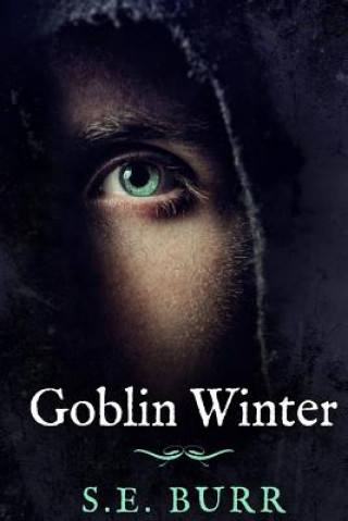 Buch Goblin Winter S E Burr