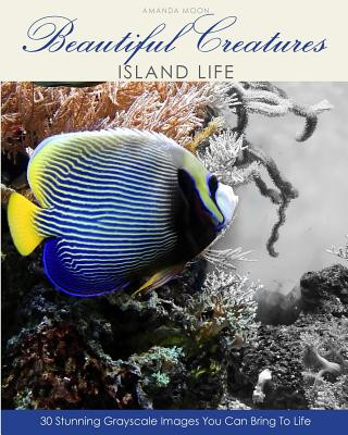 Könyv Beautiful Creatures: Island Life Amanda Moon