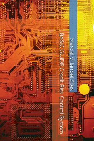 Knjiga Basic Guide Credit Risk Control System Marcial Villarroel Siles