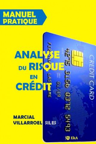 Книга MANUEL PRATIQUE Analyse du risque de credit Marcial Villarroel Siles