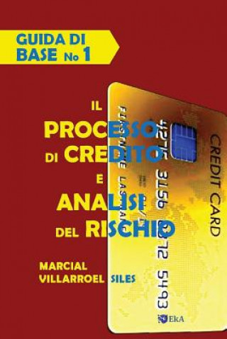 Könyv Guida Di Base Il Processo Di Credito E Analisi del Rischio Marcial Villarroel Siles