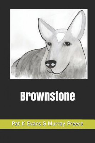 Książka Brownstone Pat K Evans