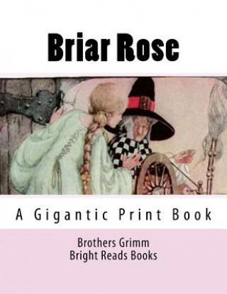 Książka Briar Rose: A Gigantic Print Book Bright Reads Books