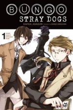 Kniha Bungo Stray Dogs, Vol. 1 Kafka Asagiri