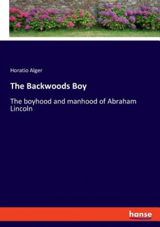 Buch Backwoods Boy Alger Horatio Alger