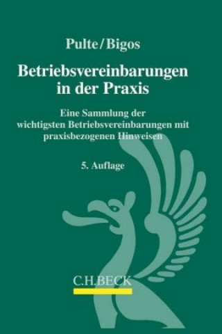 Kniha Betriebsvereinbarungen in der Praxis Peter Pulte