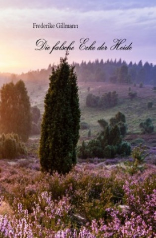 Книга Die falsche Ecke der Heide Frederike Gillmann
