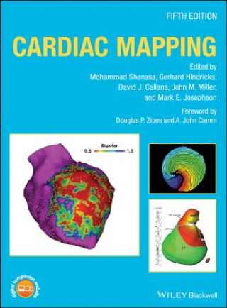 Carte Cardiac Mapping, 5th Edition Mohammad Shenasa