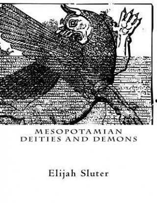 Knjiga Mesopotamian Deities and Demons Elijah Sluter