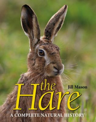 Knjiga Hare Jill Mason