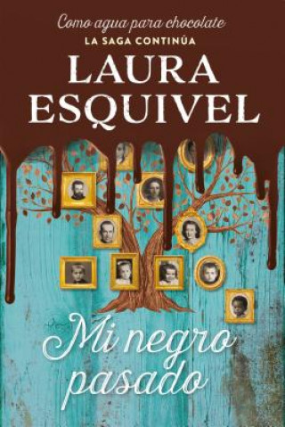 Book Mi Negro Pasado (Como Agua Para Chocolate 2) / My Dark Past Laura Esquivel