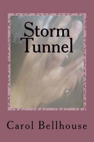 Knjiga Storm Tunnel Carol Bellhouse