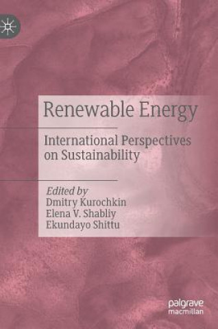 Knjiga Renewable Energy Dmitry Kurochkin