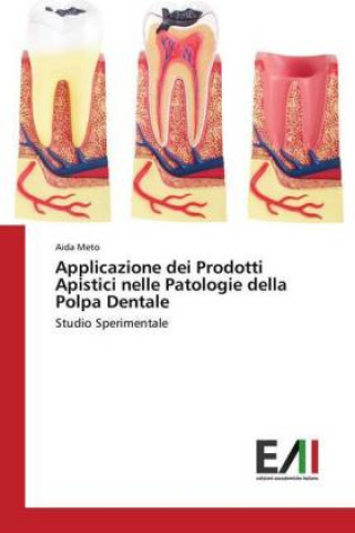 Könyv Applicazione dei Prodotti Apistici nelle Patologie della Polpa Dentale Aida Meto