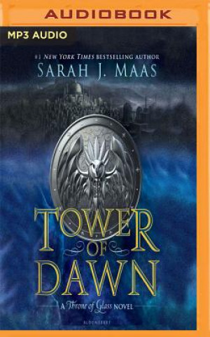 Digital Tower of Dawn Sarah Janet Maas