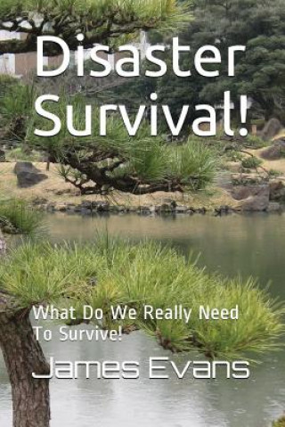 Kniha Disaster Survival!: What Do We Really Need to Survive! James Evans