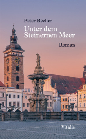 Книга Unter dem Steinernen Meer Peter Becher