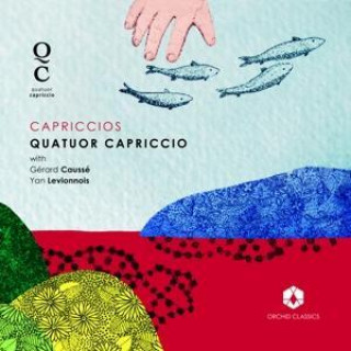 Audio Capriccios Quatuor Capriccio/Causs