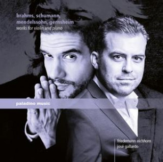 Audio Werke für Violine und Klavier Friedemann/Gallardo Eichhorn