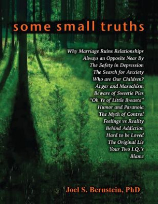 Buch Some Small Truths Joel S Bernstein